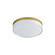 Edge LED Flush Mount in Satin Nickel (16|59762CLFTNAB)