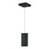 LED Pendant in Black (110|LED-16341 BK)