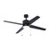 52'' Ceiling Fan in Black (110|F-1054 BK)