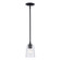 One Light Pendant in Black (110|71970 BK)