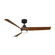 Chill 54'' Ceiling Fan in Matte Black/Distressed Koa (441|FR-W2605-54L-MB/DK)