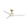 Carve 60'' Ceiling Fan in Soft Brass/Matte White (441|FR-D2504-60L-SB/MW)