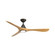Carve 60'' Ceiling Fan in Bronze/Honey Oak (441|FR-D2504-60L-BZ/HO)