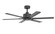Rayne 52'' Ceiling Fan in Black (110|F-1066 BK)