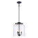 Zoe Three Light Pendant in Black (110|72050-3 BK)