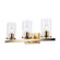 Carter Three Light Vanity in Antique Gold (110|72043 AG)