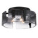 Aenon Three Light Flush Mount in Matte Black (62|3164-FM BLK-SWG)