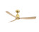 Kute 52 52'' Ceiling Fan in Brushed Satin Brass (26|FPD8534BSN)