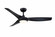 Lizza 56'' Ceiling Fan in Black (26|FPD6656BL)