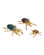 Beetle Colony Set of 3 in Polished Brass / Natural (142|1200-1118)