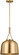 Liora One Light Pendant in Estate Brass (454|SCRJPD166EBS)