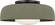 Liora One Light Flush Mount in Aged Iron (454|SCRJFM169AISSOEG)