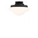One Light LED Fan Light Kit in Matte Black (446|M2039MBK)