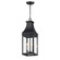Bramwell VX Three Light Outdoor Pendant in Black Patina (16|40987TCBKP)