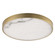 Slab LED Flush Mount in Natural Aged Brass (16|18216WANAB)
