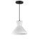 Sinch One Light Pendant in Black (16|11452SWBK)
