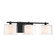 Seville Three Light Vanity in Dark Matte Black (7|2063-899)