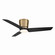 Pure 48'' Ceiling Fan in Brushed Brass (15|F671L-BBR/CL)