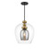Amesbury One Light Pendant in Coal And Oxidized Aged Brass (29|N6661-865)