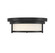Two Light Flush Mount in Matte Black (446|M60062MBK)