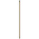 Accessories Accessories in Golden Silver (16|FRD0136GS)