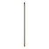 Accessories Accessories in Golden Silver (16|FRD0130GS)