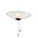 Fan Light Kits Three Light Ceiling Fan Light Kit in Black (16|FKT213FTBK)