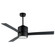 Tanker 52'' Ceiling Fan in Black (16|88816BK)