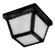 Outdoor Essentials - 620x Two Light Outdoor Ceiling Mount in Black (16|6204FTBK)