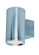 Lightray One Light Outdoor Wall Lantern in Brushed Aluminum (16|6101AL)