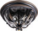 Camden VX Three Light Outdoor Ceiling Mount in Golden Bronze (16|41420WGGO)