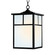 Coldwater One Light Outdoor Hanging Lantern in Black (16|4058WTBK)