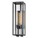Catalina Two Light Outdoor Wall Sconce in Dark Bronze (16|30096CLDBZ)