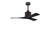 Nan 42'' Ceiling Fan in Textured Bronze (101|NK-TB-BK-42)