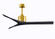 Mollywood 60'' Ceiling Fan in Brushed Brass (101|MW-BRBR-BK-60)