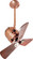 Bianca Direcional 16'' Ceiling Fan in Polished Copper (101|BD-CP-WD)