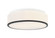 Echo Two Light Ceiling Mount in Matte Black (423|M15802MB)