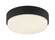 Quintz Two Light Ceiling Mount in Matte Black (423|M13202MB)