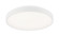 Alexandre LED Ceiling Mount in White (423|M10801WH)