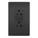 radiant 20A Tamper Resistant Ultra Fast PLUS Power Delivery USB Type C/C Outlet in Black (246|TR20USBPDBK)