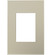 adorne One-Gang-Plus Screwless Wall Plate in Titanium (246|AWP1G3TM4)