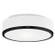 Charlie Two Light Flush Mount in Black (347|599002BK)