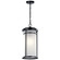 Toman One Light Outdoor Pendant in Black (12|49689BK)