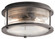 Ashland Bay Two Light Outdoor Ceiling Mount in Weathered Zinc (12|49669WZC)