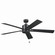 Lucian II 60''Ceiling Fan in Satin Black (12|330243SBK)