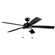 Starkk 60''Ceiling Fan in Satin Black (12|330180SBK)