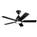 Arvada 44''Ceiling Fan in Satin Black (12|330090SBK)