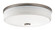 Ceiling Space LED Flush Mount in Brushed Nickel (12|10885NILED)