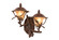 Ponderosa Outdoor Two Light Outdoor Wall Bracket in Ponderosa (33|9162PD)