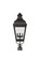 Winchester Outdoor Three Light Post - Pier Mount in Aged Iron (33|403300AI)